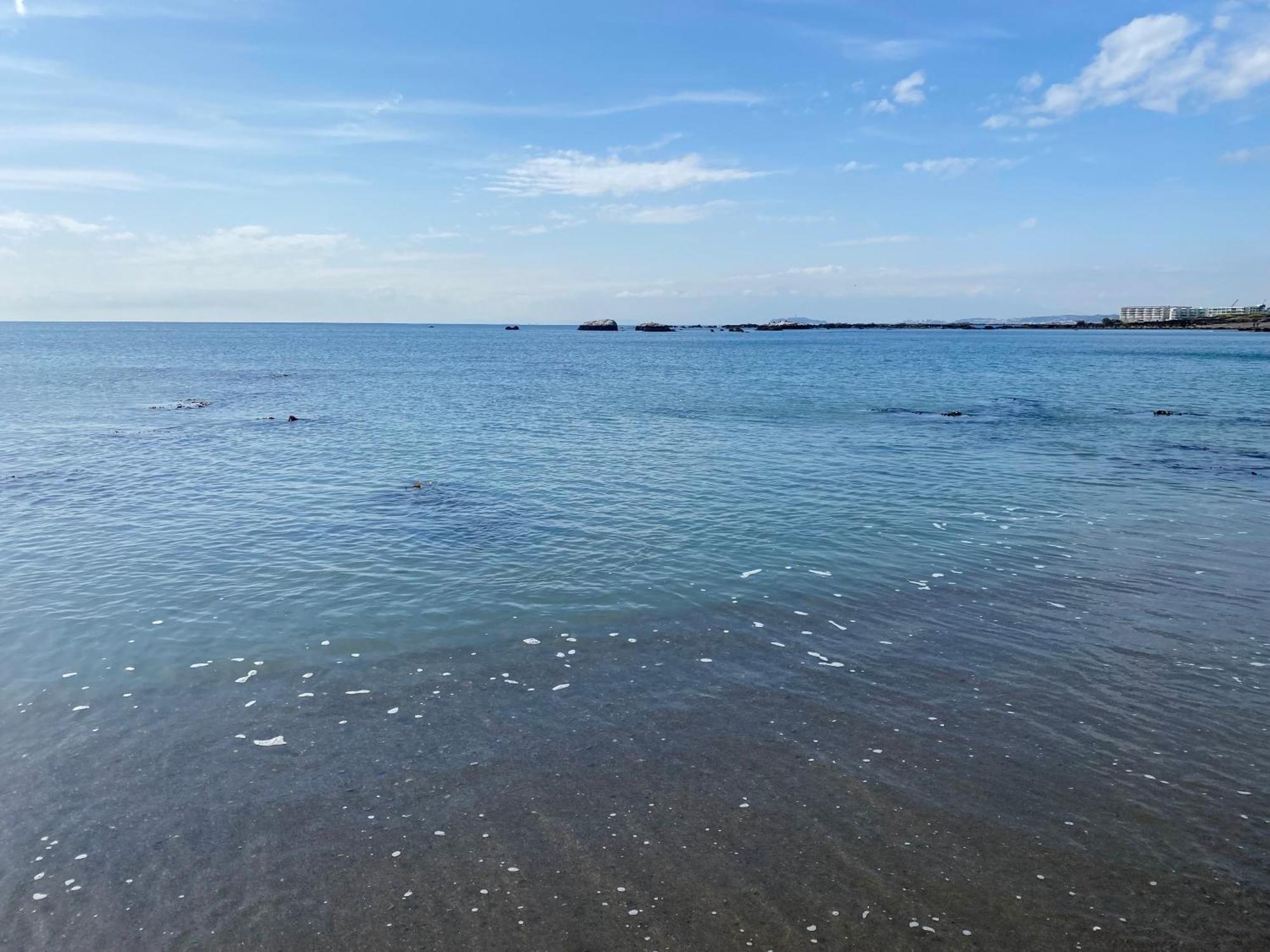 The Canvas Hayama Park Bagian luar foto